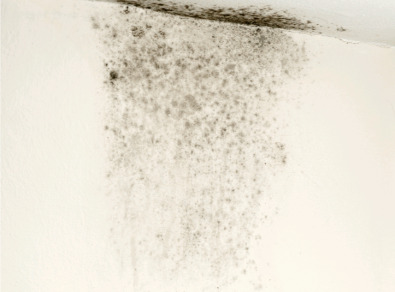 화순 주택 아파트 공장 결로검사 결로공사 시공업체